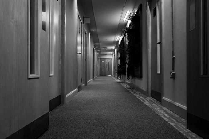 An empty corridor, timber doors along the left, a planted wall to the right.