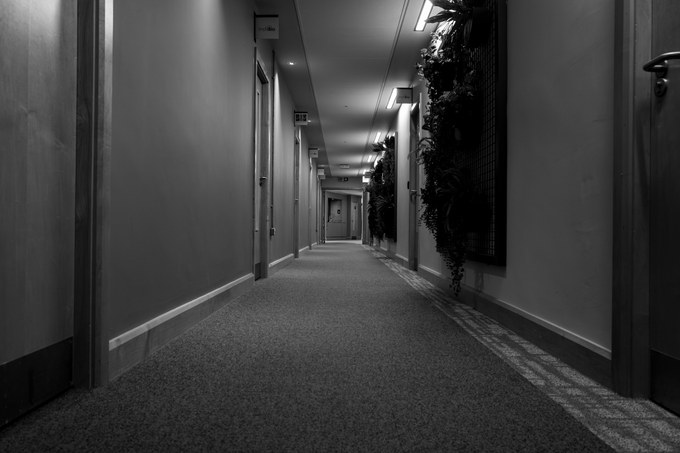 An empty corridor with a planted wall to the right and doors standing closed.